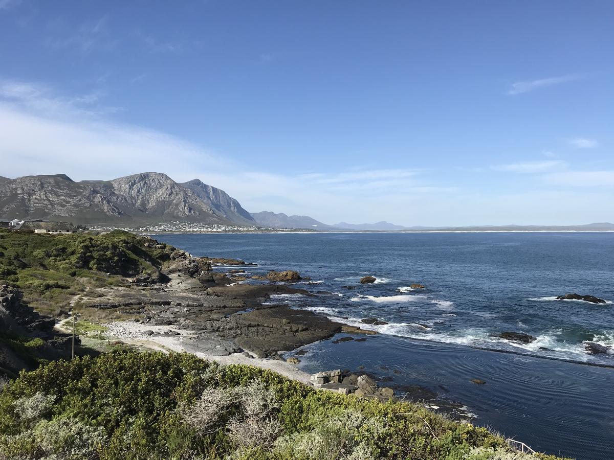 Francolin Manor Bed & Breakfast Hermanus Ngoại thất bức ảnh