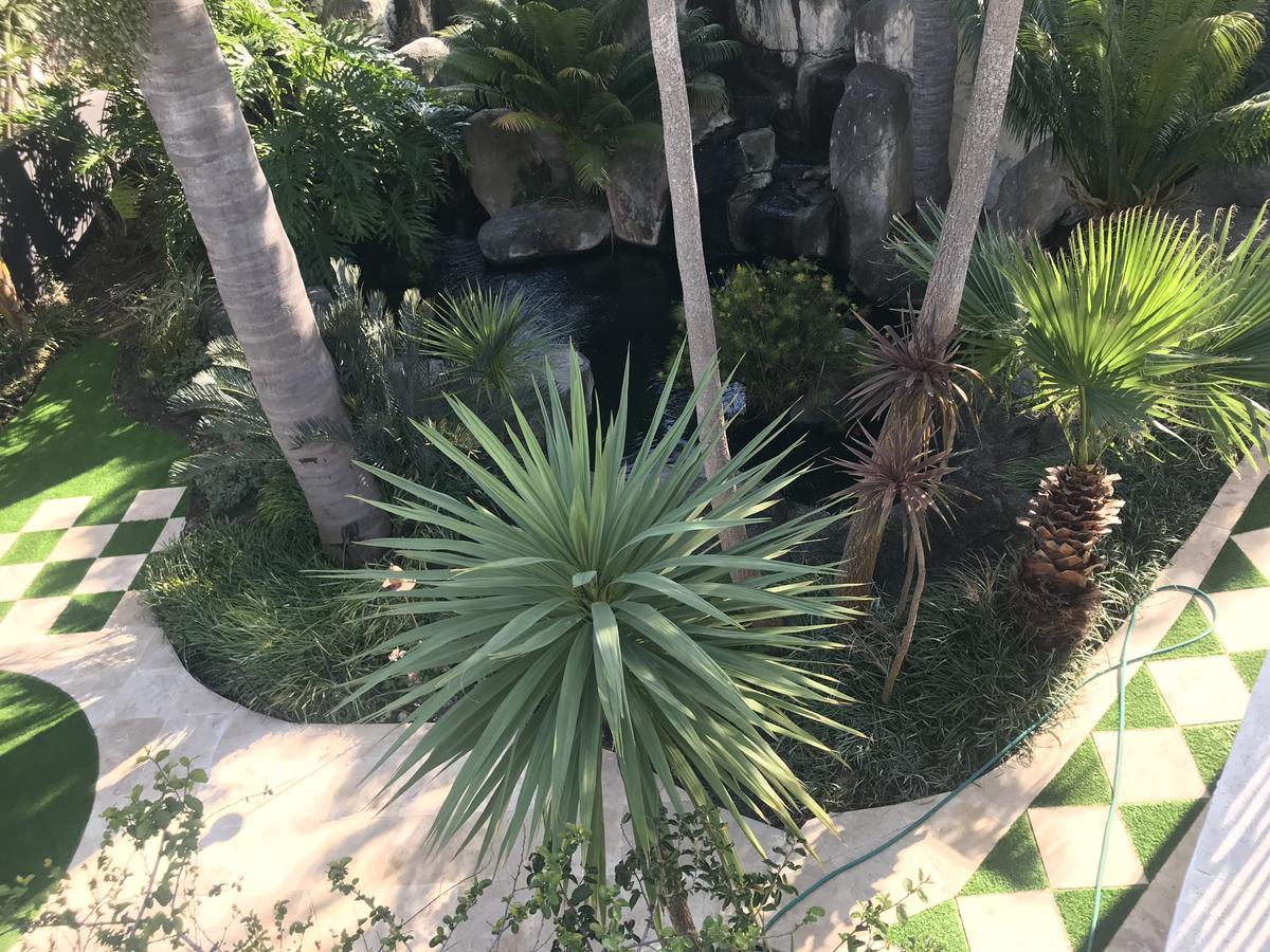 Francolin Manor Bed & Breakfast Hermanus Ngoại thất bức ảnh
