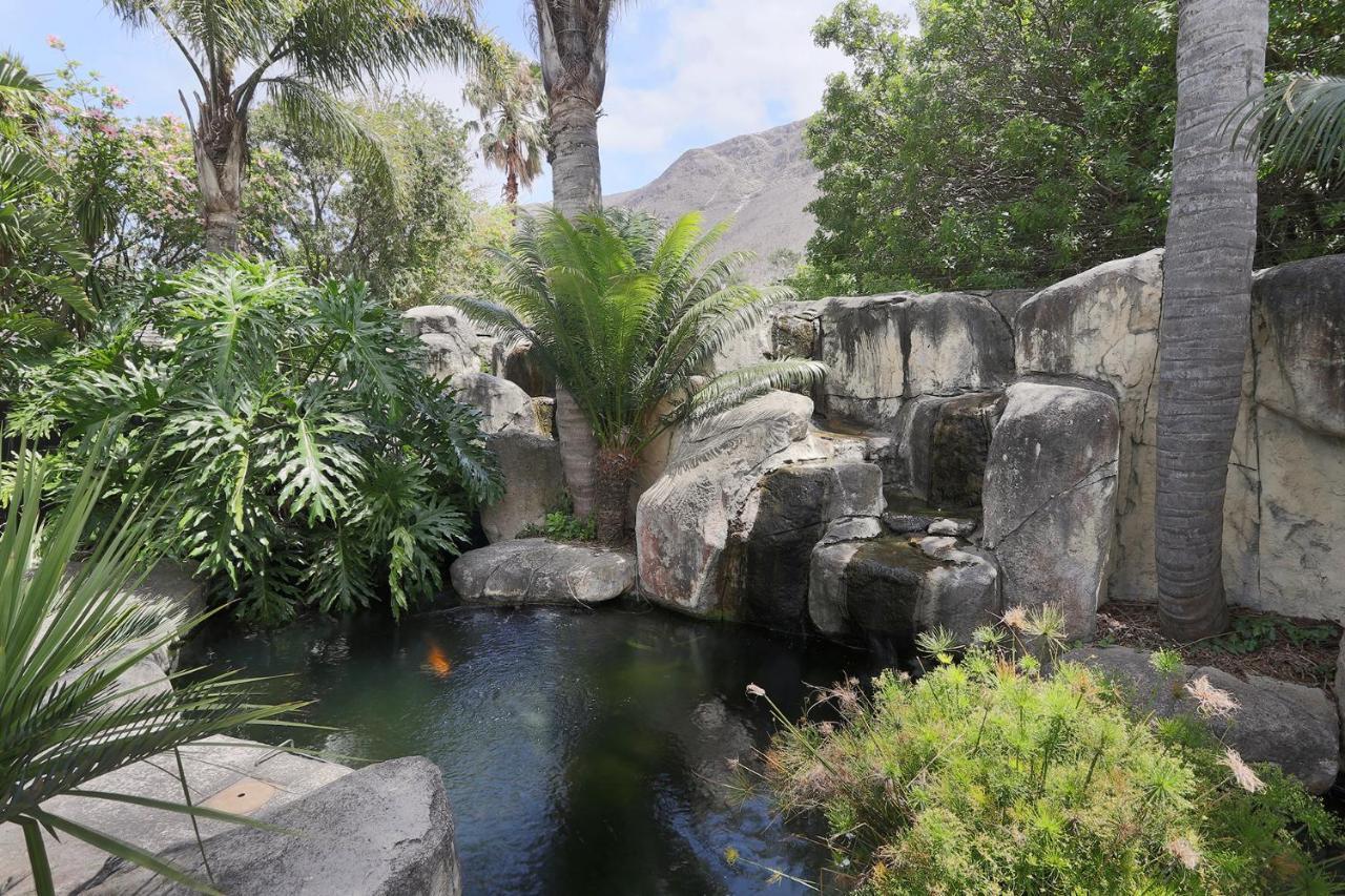 Francolin Manor Bed & Breakfast Hermanus Ngoại thất bức ảnh